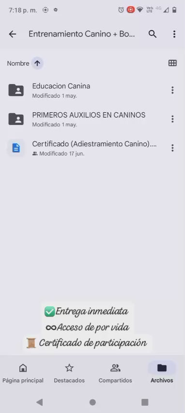 Curso de Adiestramiento Canino + Primeros Auxilios (Videos)