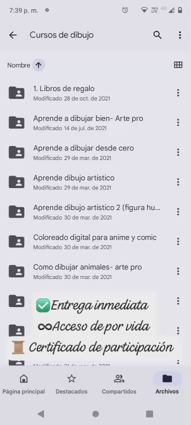 Curso de Dibujo Profesional (Videos)
